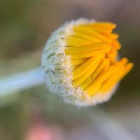 Ontspannen in de natuur